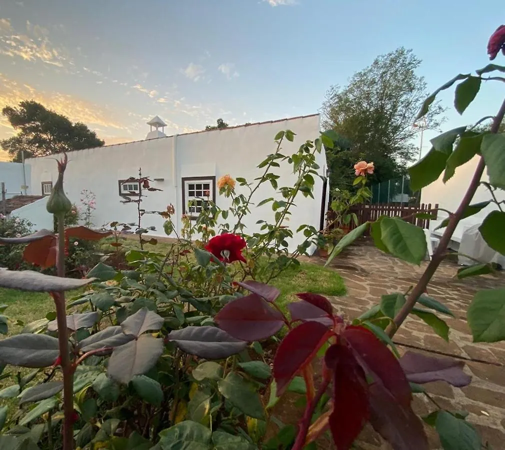 Vila Finca La Estufa La Laguna  Španělsko